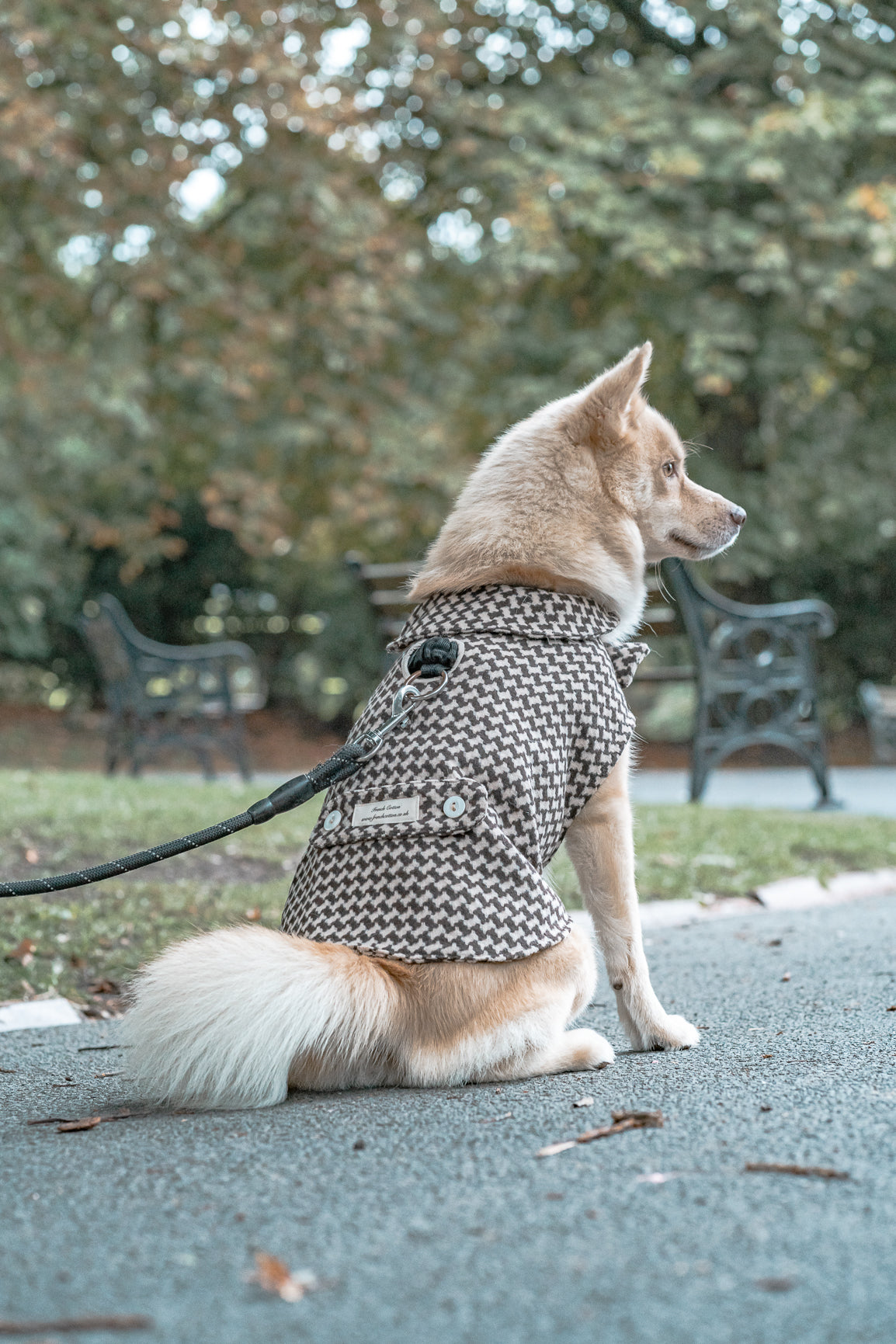 Dog Tooth Dog Coat
