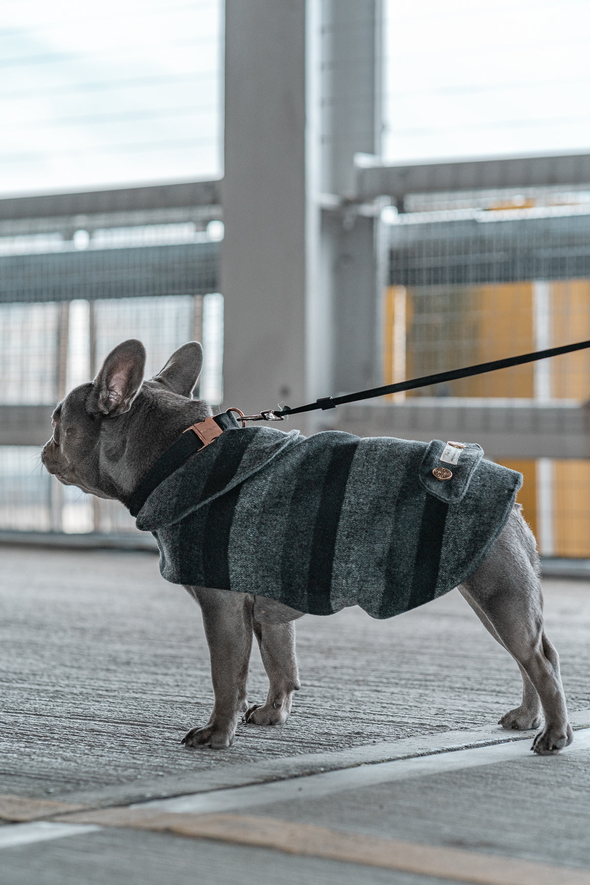 Grey and Black Wool Dogs Coat