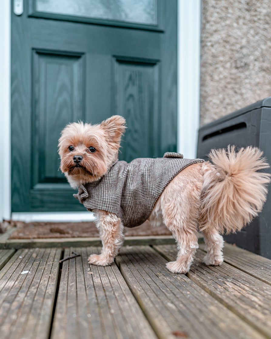 English Handcrafted Wool dogs coat