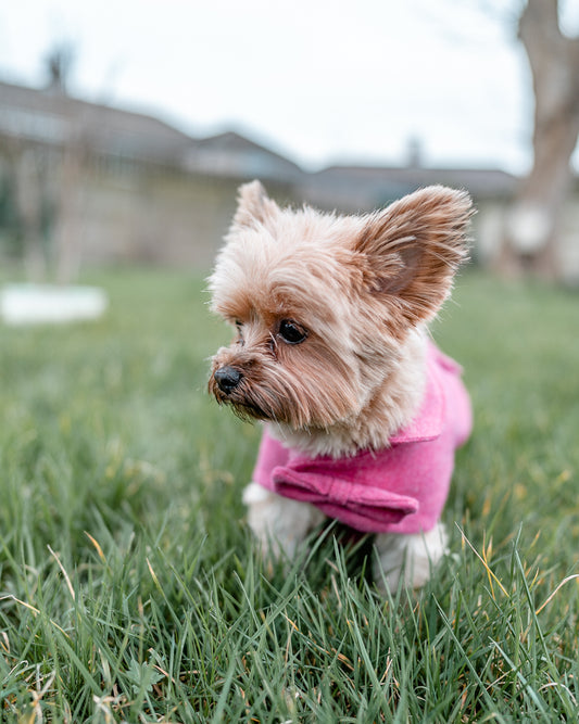 Pink Wool Dogs Coat with hook and loop fastening